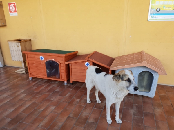 Manfredonia/ Cucce per i cani del Centro Commerciale
