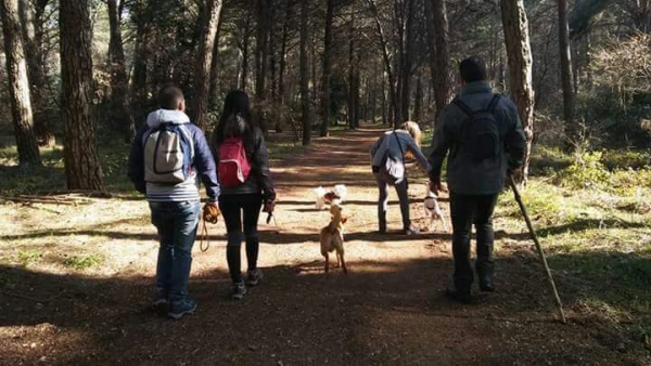 Dog-trekking sul Gargano, proposte per un territorio sempre più a misura di animali