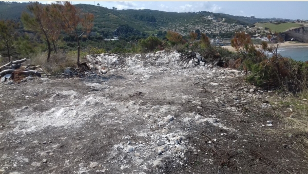 Wwf/ Abusivismo sul Gargano: nessuna solidariet da amministratori e dal Parco al giornalista di Report per le minacce ricevute  intanto continuano le aggressioni alla natura.