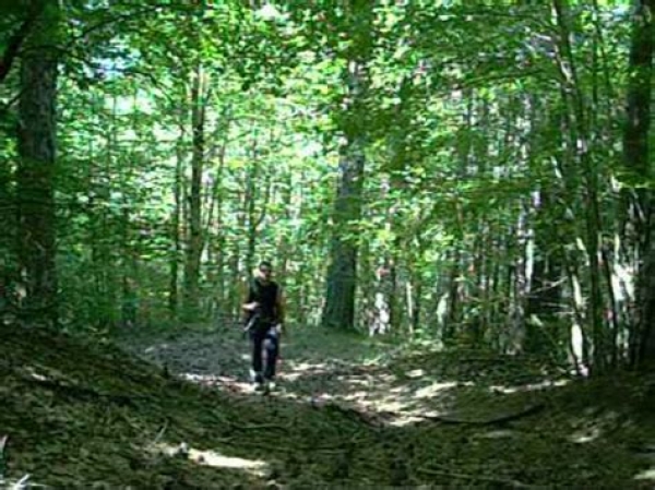 Monte S. Angelo/ Numerosi bambini e ragazzi invadono la Foresta Umbra per la 18° Giornata Nazionale dei Sentieri del CAI