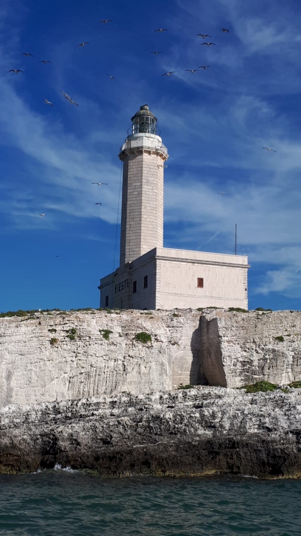 Vieste/ Foto e Immagini: Quando sei stato FARO per anni nessuno è disposto a perdonarti un attimo di buio.