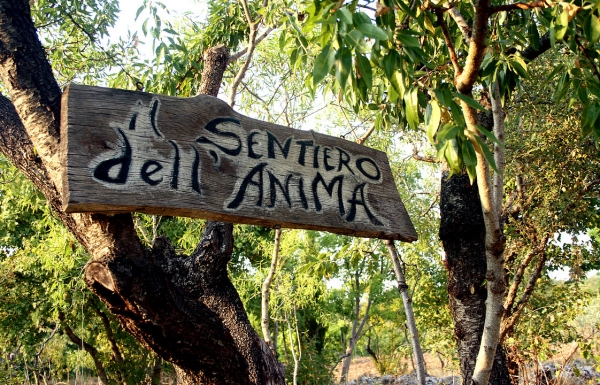 Il Sentiero dell’Anima quel Parco letterario nel cuore del Gargano. Un percorso all’insegna della poesia e della letteratura. Tra rocce scavate dall’acqua, grave e inghiottitoi naturali.