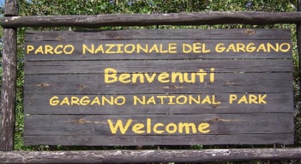 Il Parco del Gargano in attesa del presidente. Il Ministero dell'Ambiente e la Regione Puglia non hanno ancora trovato l'intesa sul nome.