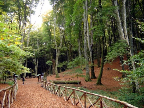 Vico/ Biodiversità e parchi, il punto in nel convegno di questa mattina al Comune