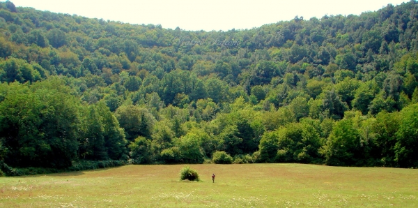 Bellum Videri, esempio di valorizzazione del paesaggio storico rurale. Asp Zaccagnino, Parco del Gargano, Comuni ed Universit al lavoro.