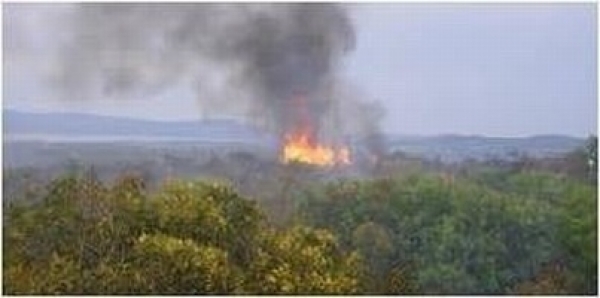 Incendi: sul Gargano si rafforza il servizio dei Carabinieri Forestali