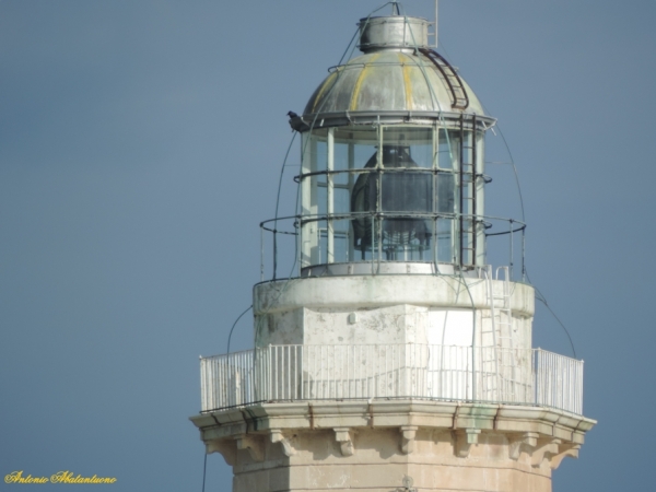 Reporter della Tua Citt/ Ritorna la "luce" al FARO