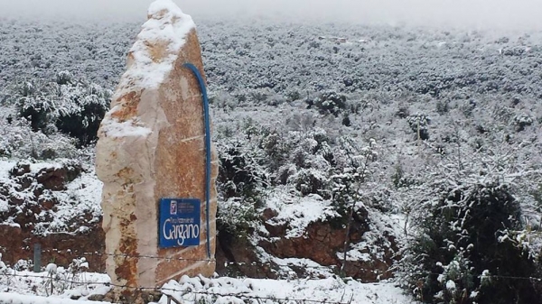 Neve di gennaio/ Il Governo dichiara lo stato emergenza richiesto dalla Regione Puglia