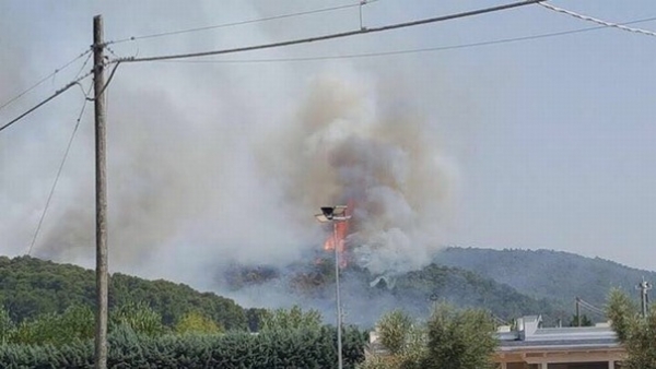 10 anni dopo a Peschici ancora in fiamme diversi ettari di macchia mediterranea