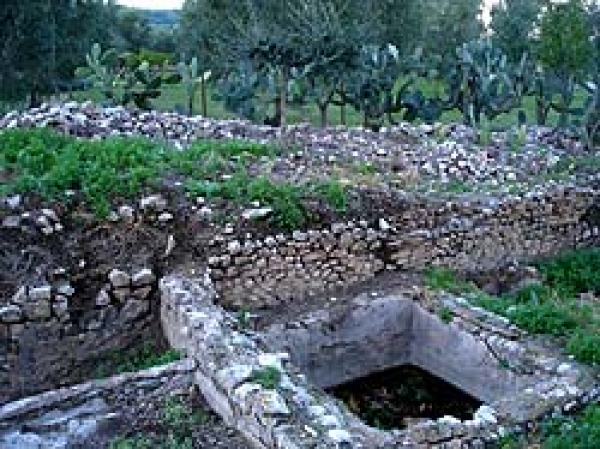 EVOLUZIONE DEGLI  ANTICHI INSEDIAMENTI URBANI DEL GARGANO. IL SITO PARTICOLARE DI MERINO